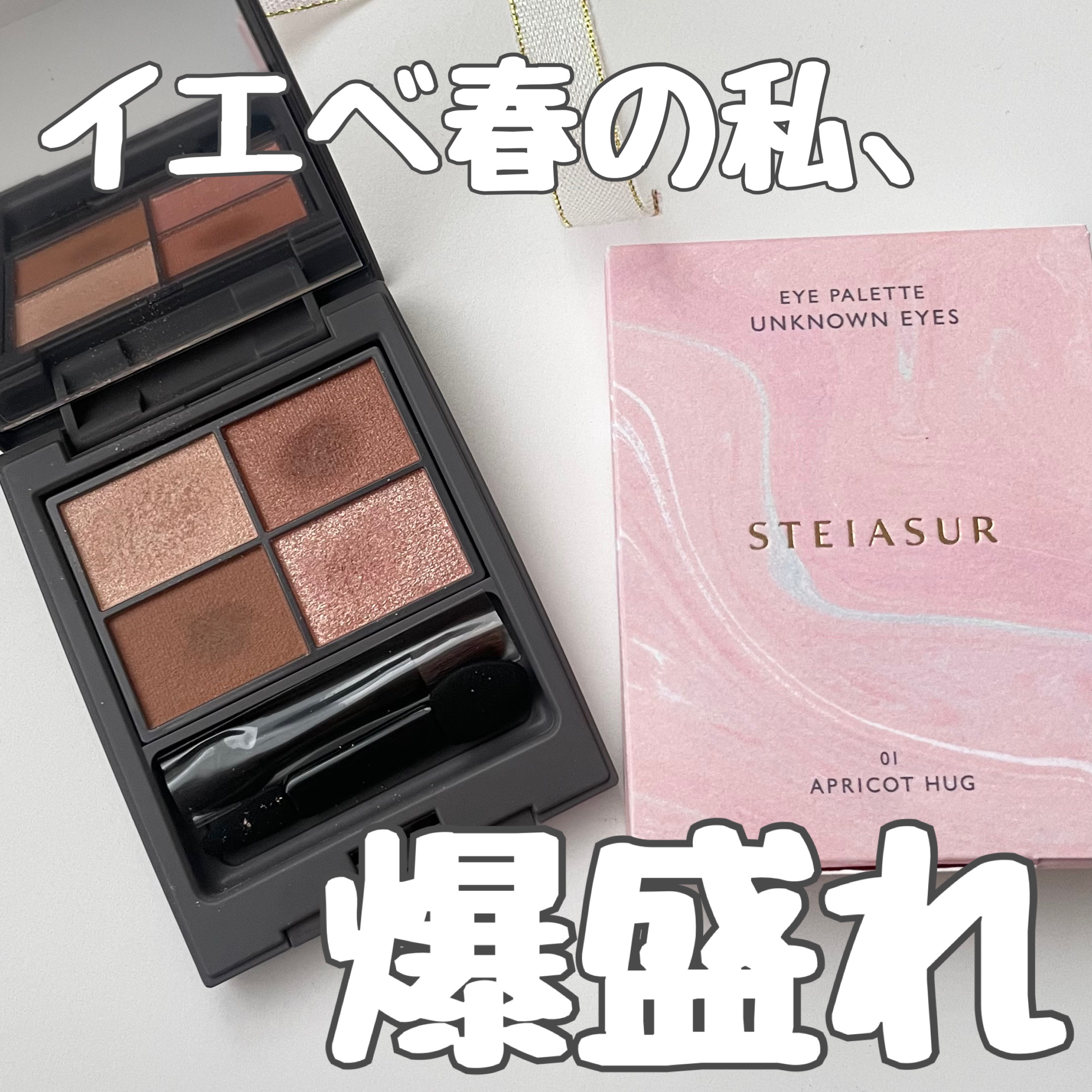 アンノウンアイズ/STEIASUR（ステイアシュール）/アイシャドウパレットを使ったクチコミ（1枚目）