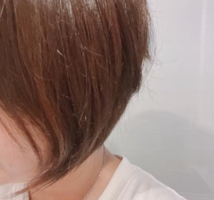 DHC オリーブバージンオイル SS 7ml/DHC/フェイスオイルの画像