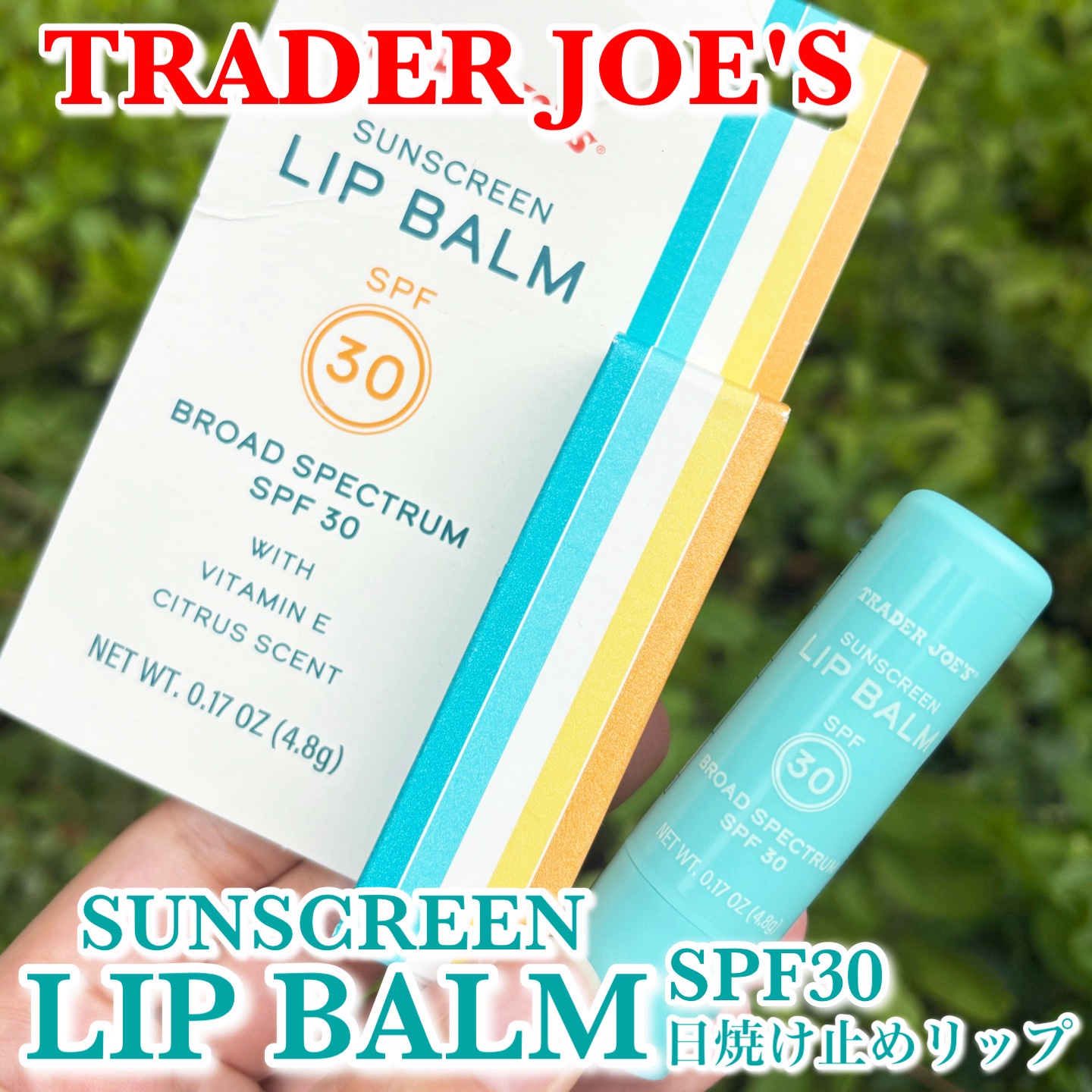 SUNSCREEN LIP BALM/トレーダー・ジョーズ (Trader Joe’s)海外/リップバームを使ったクチコミ（1枚目）