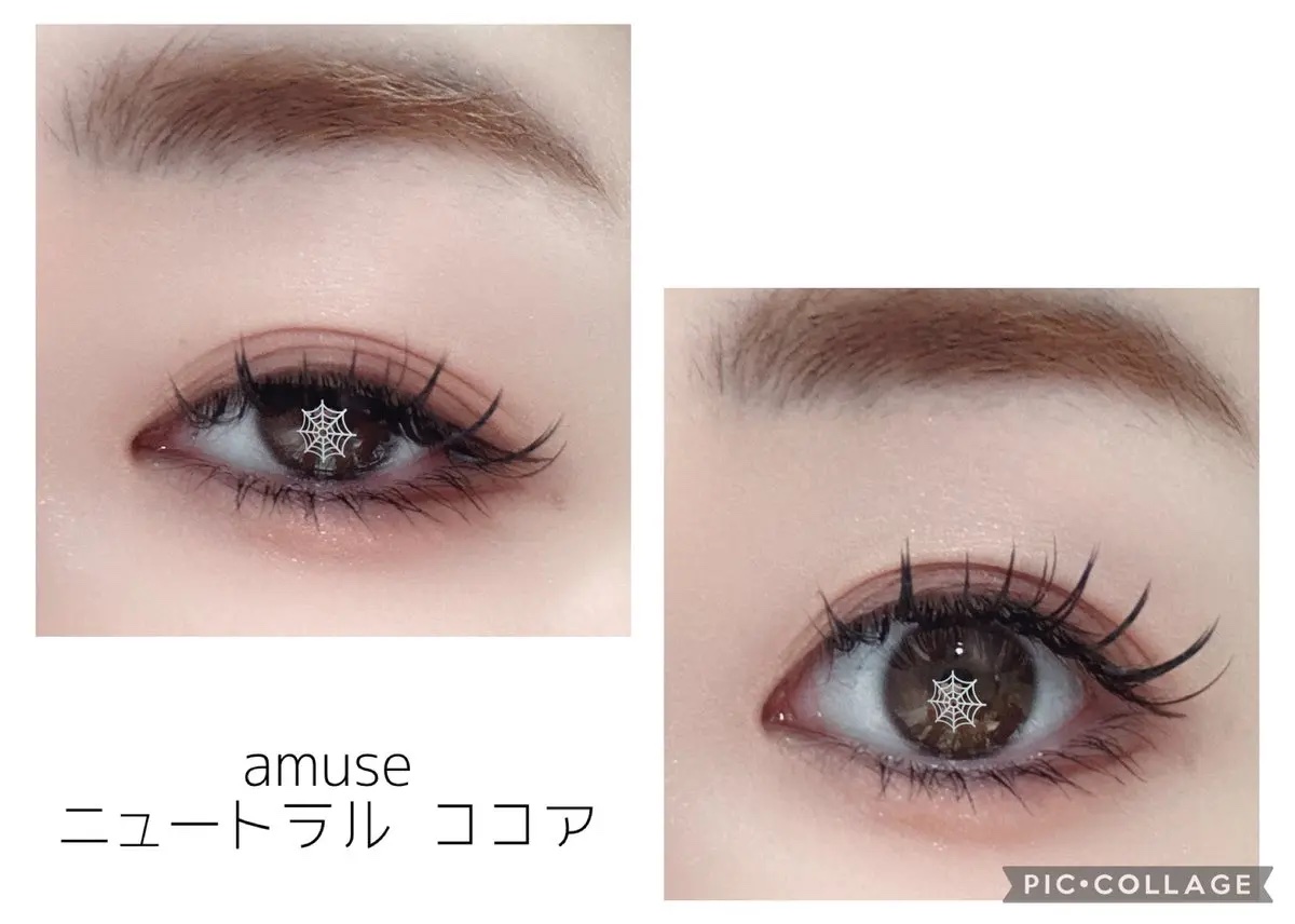 アイカラーパレット 日本限定 ニュートラルココア/AMUSE/アイシャドウパレットを使ったクチコミ（1枚目）