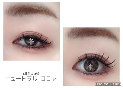 アイカラーパレット 日本限定 ニュートラルココア/AMUSE/アイシャドウパレットの画像