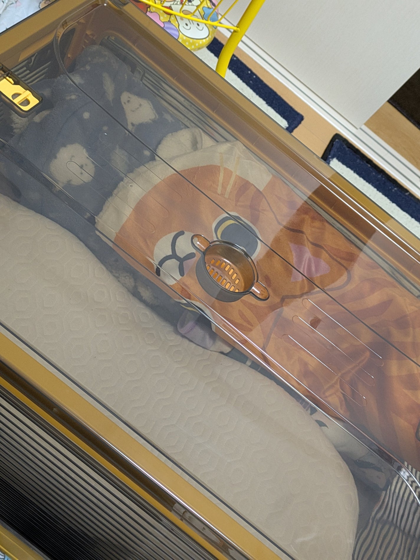 真紅 on LIPS 「収納ボックスをお試しさせて頂きました。こちらの収納ボックスは、..」(5枚目)