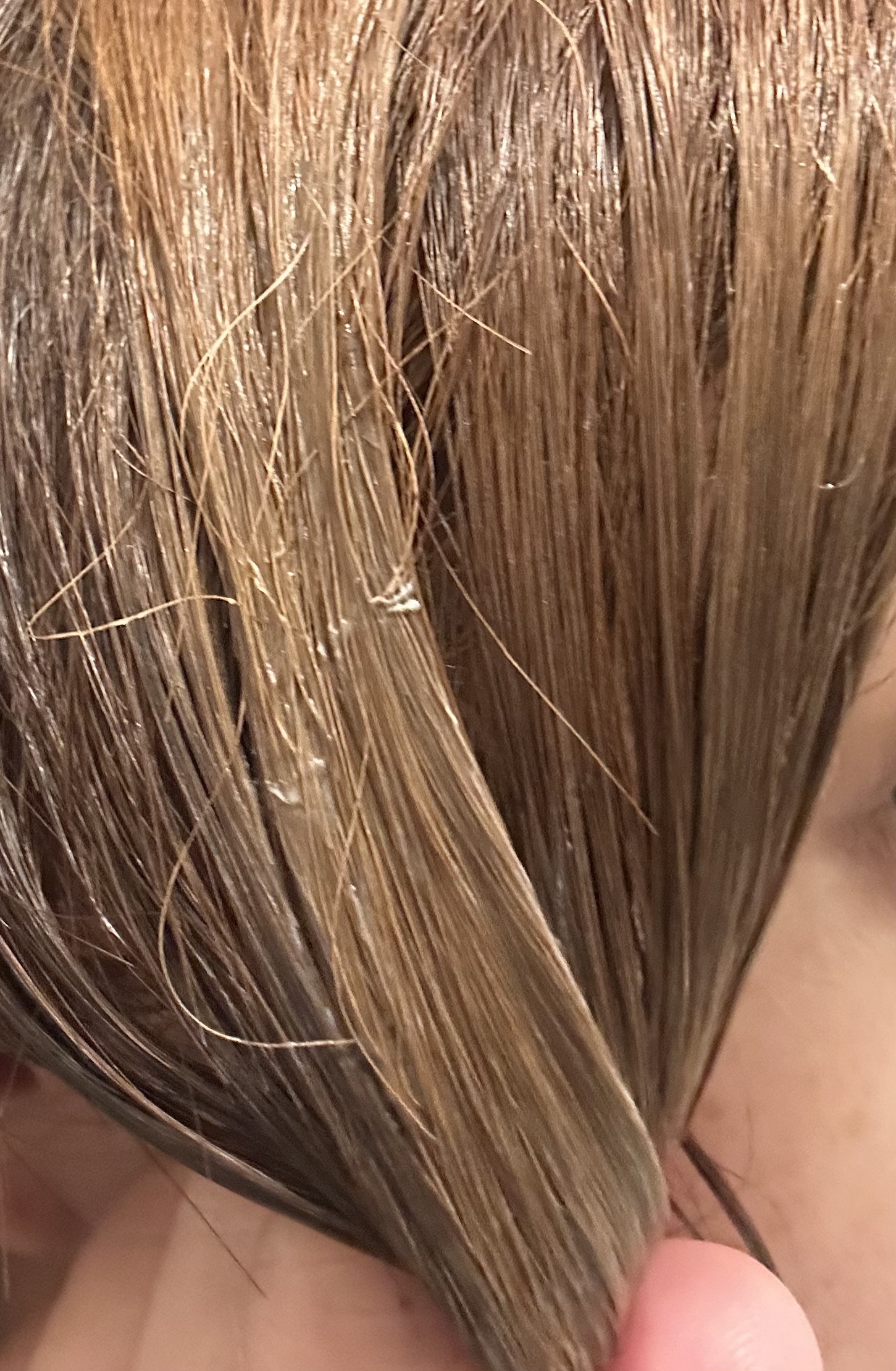 クレイクリームシャンプー（モイスト）/cocone/市販シャンプーを使ったクチコミ（3枚目）