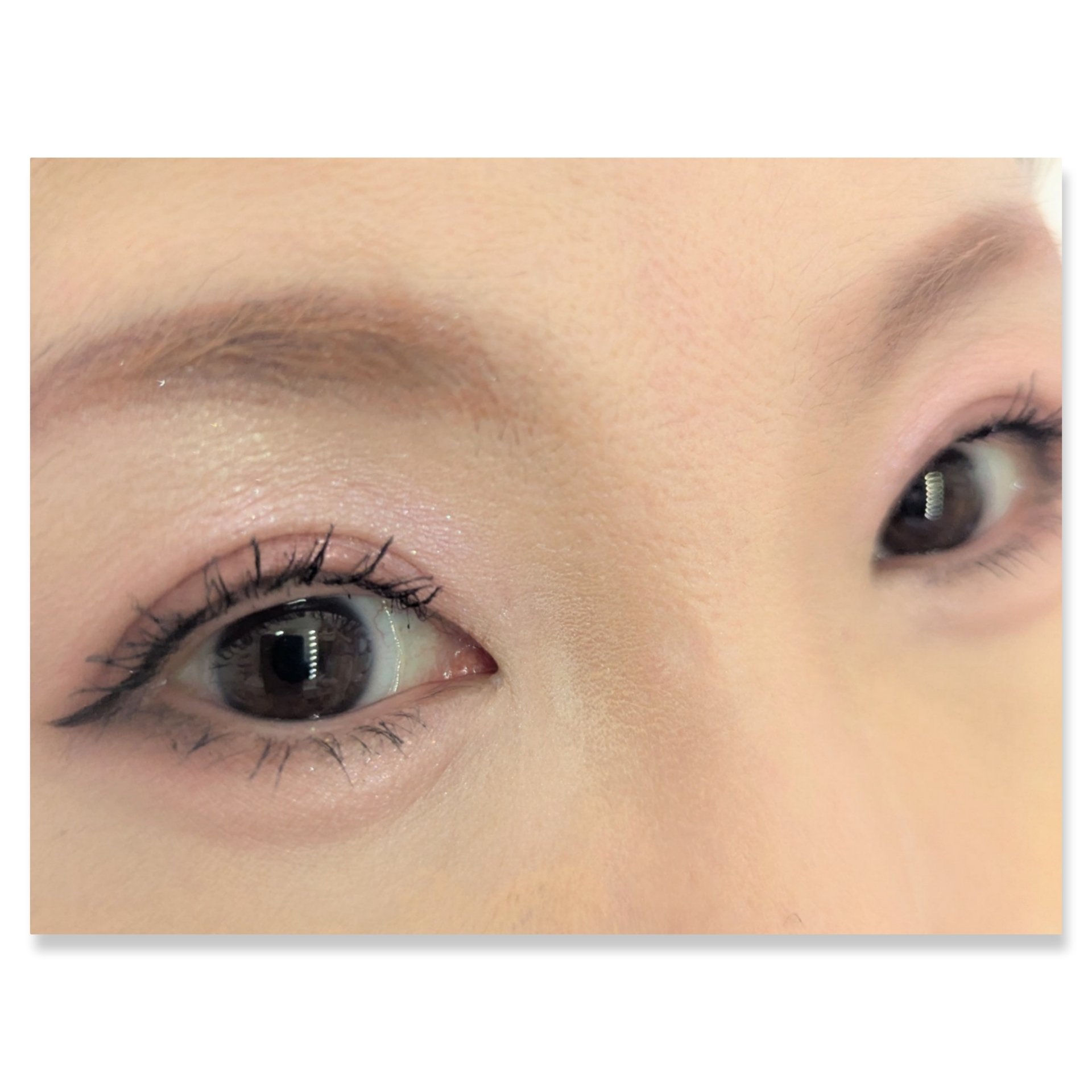 ソフトブラーリングアイパレット/wakemake/アイシャドウパレットを使ったクチコミ（2枚目）