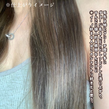 ãã€ãã¡ãŒãž ã¡ã³ããã³ã¹ ã·ã£ã³ããŒ/ããªãŒãã¡ã³ã/matsukiyo CONCRED/åžè²©ã·ã£ã³ããŒã䜿ã£ãã¯ãã³ãïŒ5æç®ïŒ