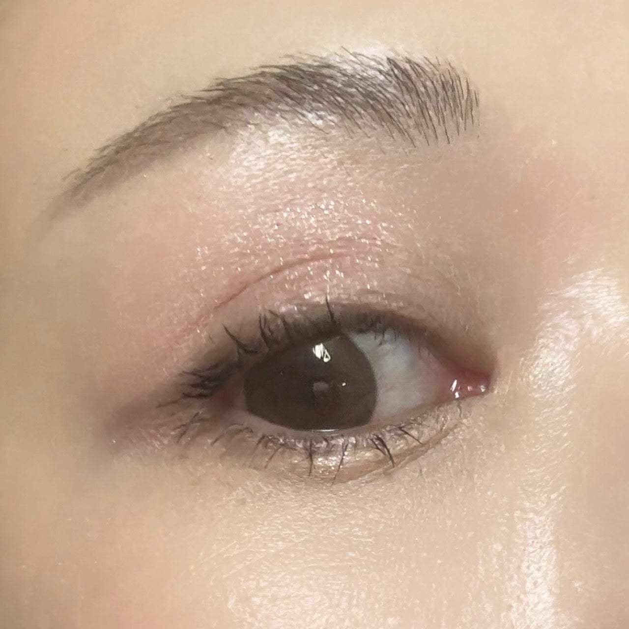 フェイスカラーパレット/チャコット・コスメティクス/アイシャドウパレットを使ったクチコミ(5枚目)