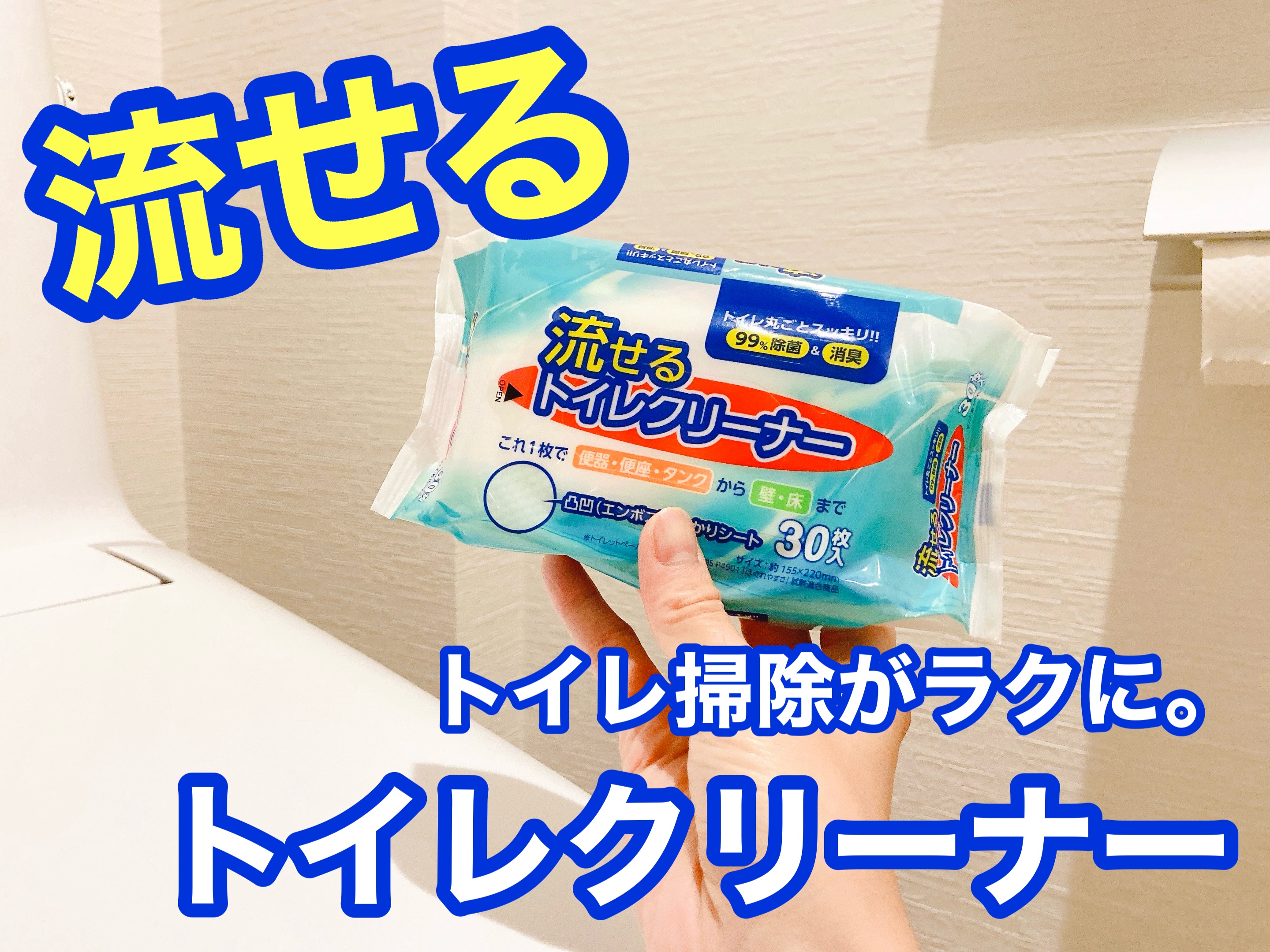 流せるトイレクリーナー/グレートアンドグランド株式会社/その他を使ったクチコミ（1枚目）