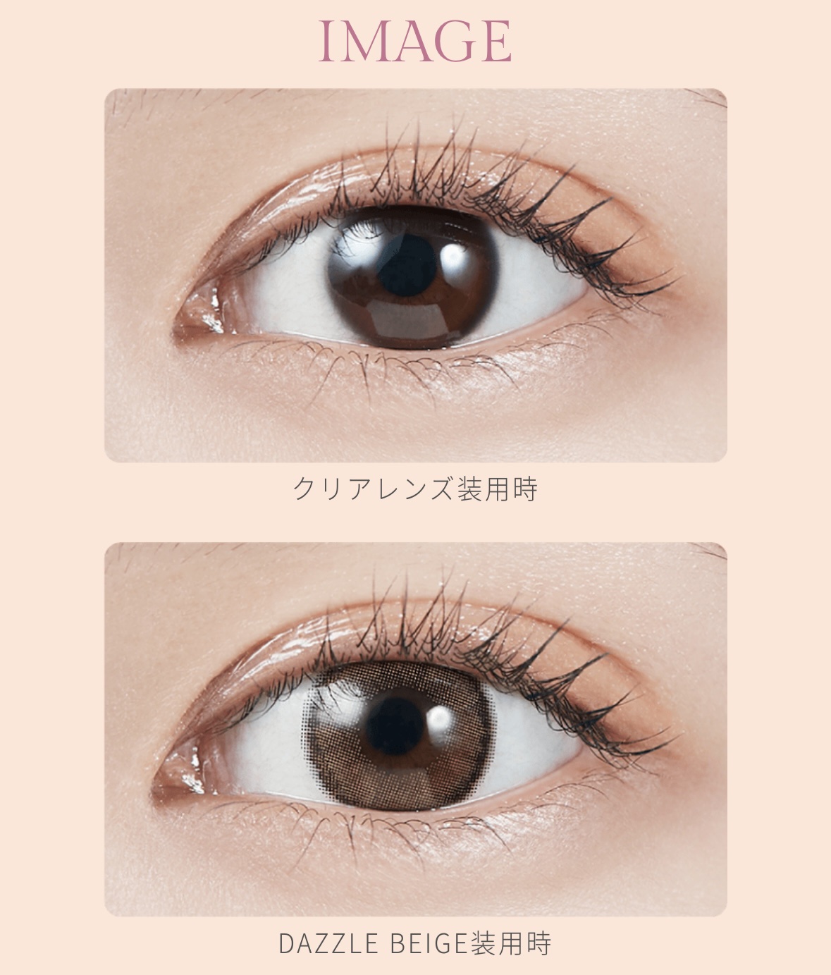 MOLAK 1day ダズルベージュ/MOLAK/ワンデー（１DAY）カラコンを使ったクチコミ（2枚目）