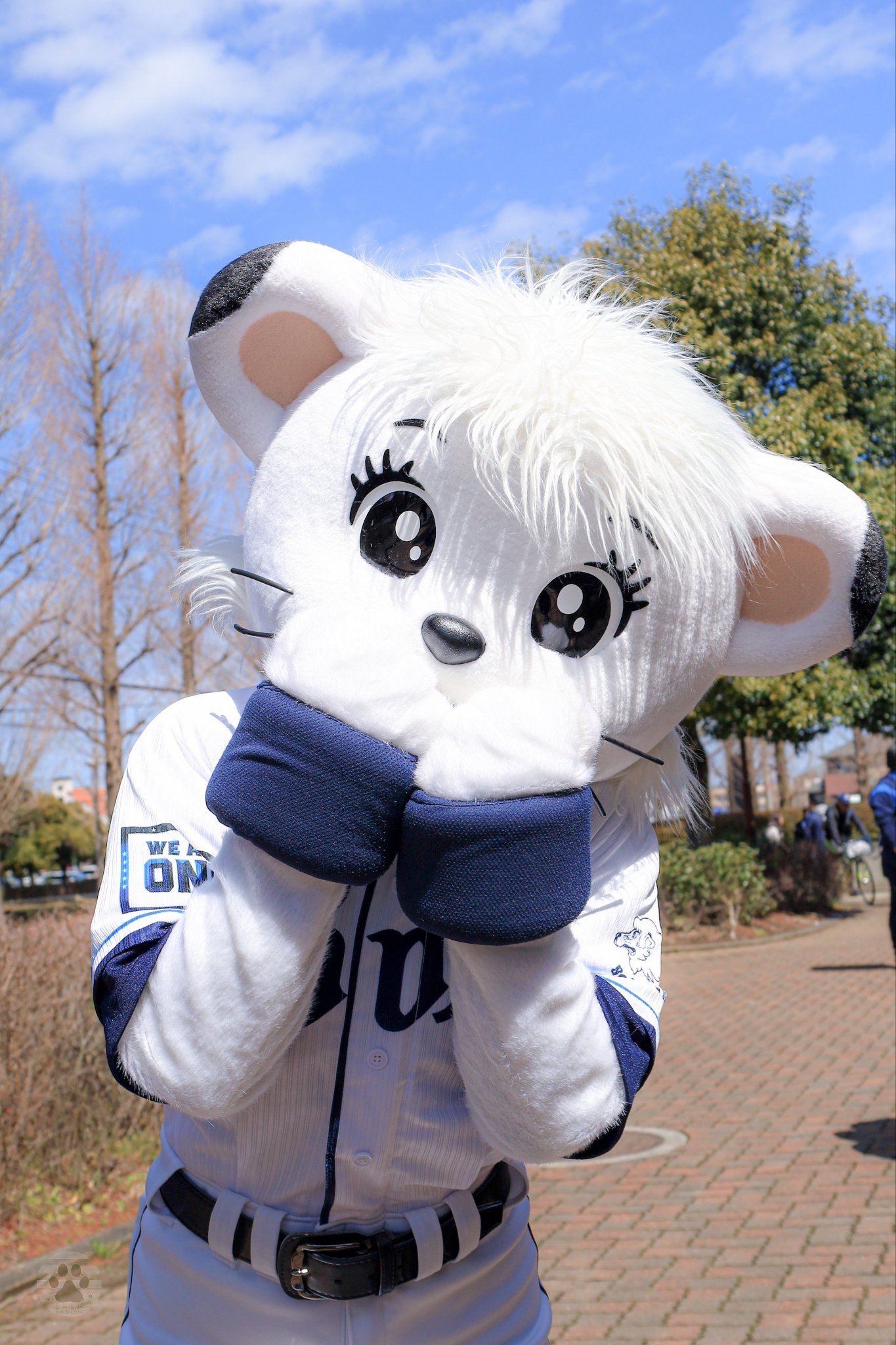 Eye Candy アイパレット/SHEGLAM/アイシャドウパレットを使ったクチコミ（1枚目）