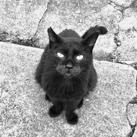 ファブリックミスト クラシックフローラル/ランドリン/ファブリックミストを使ったクチコミ(1枚目)