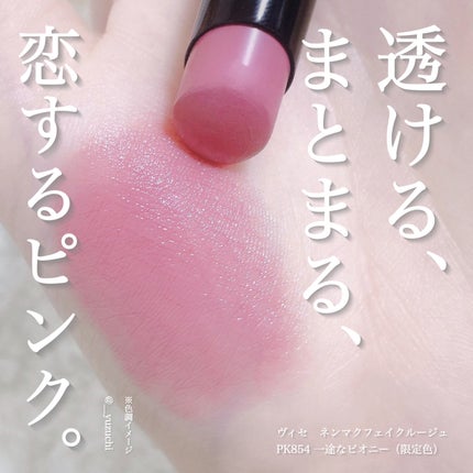 ネンマクフェイク ルージュ/Visée/口紅を使ったクチコミ(2枚目)