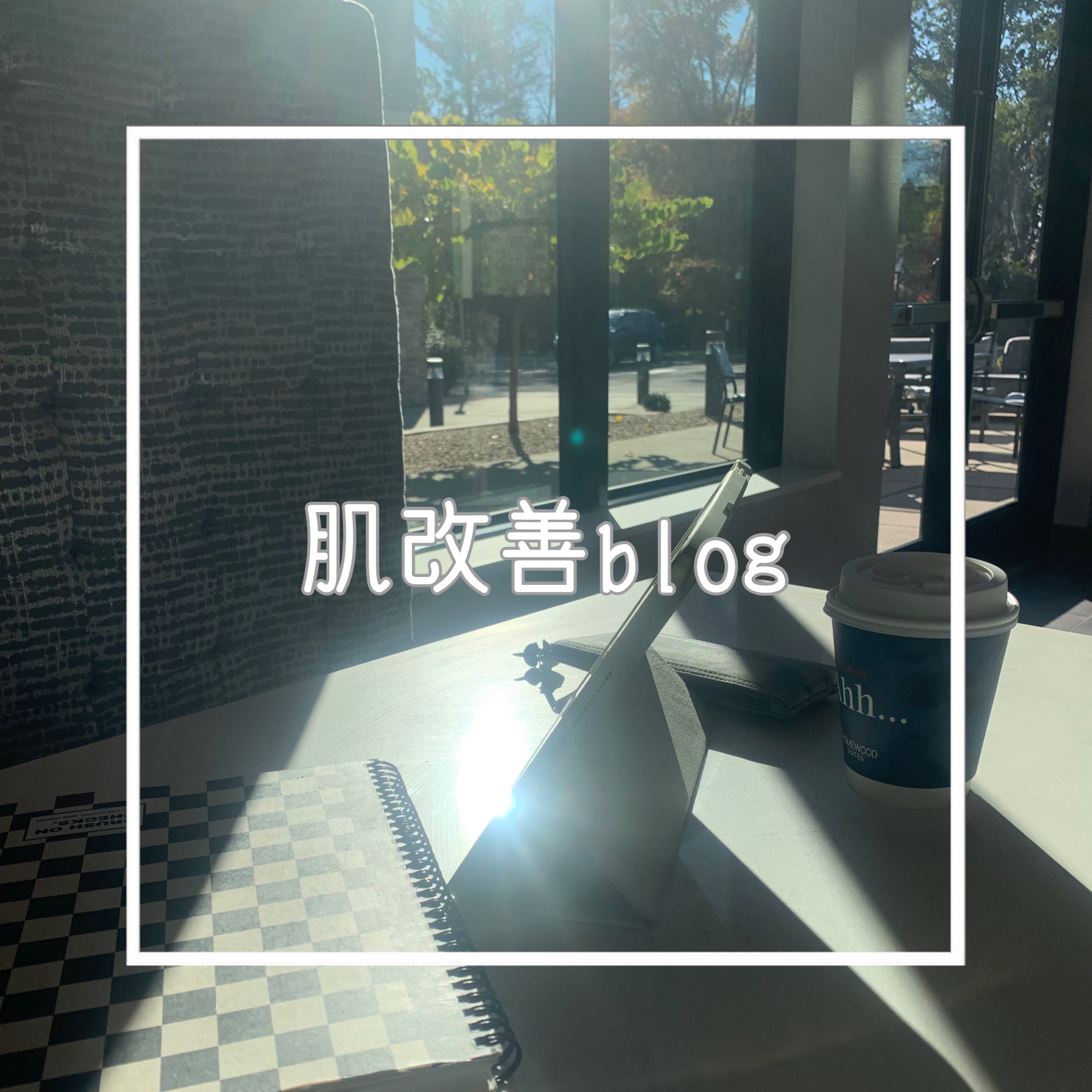 明色美顔水 薬用化粧水/美顔/化粧水を使ったクチコミ（1枚目）