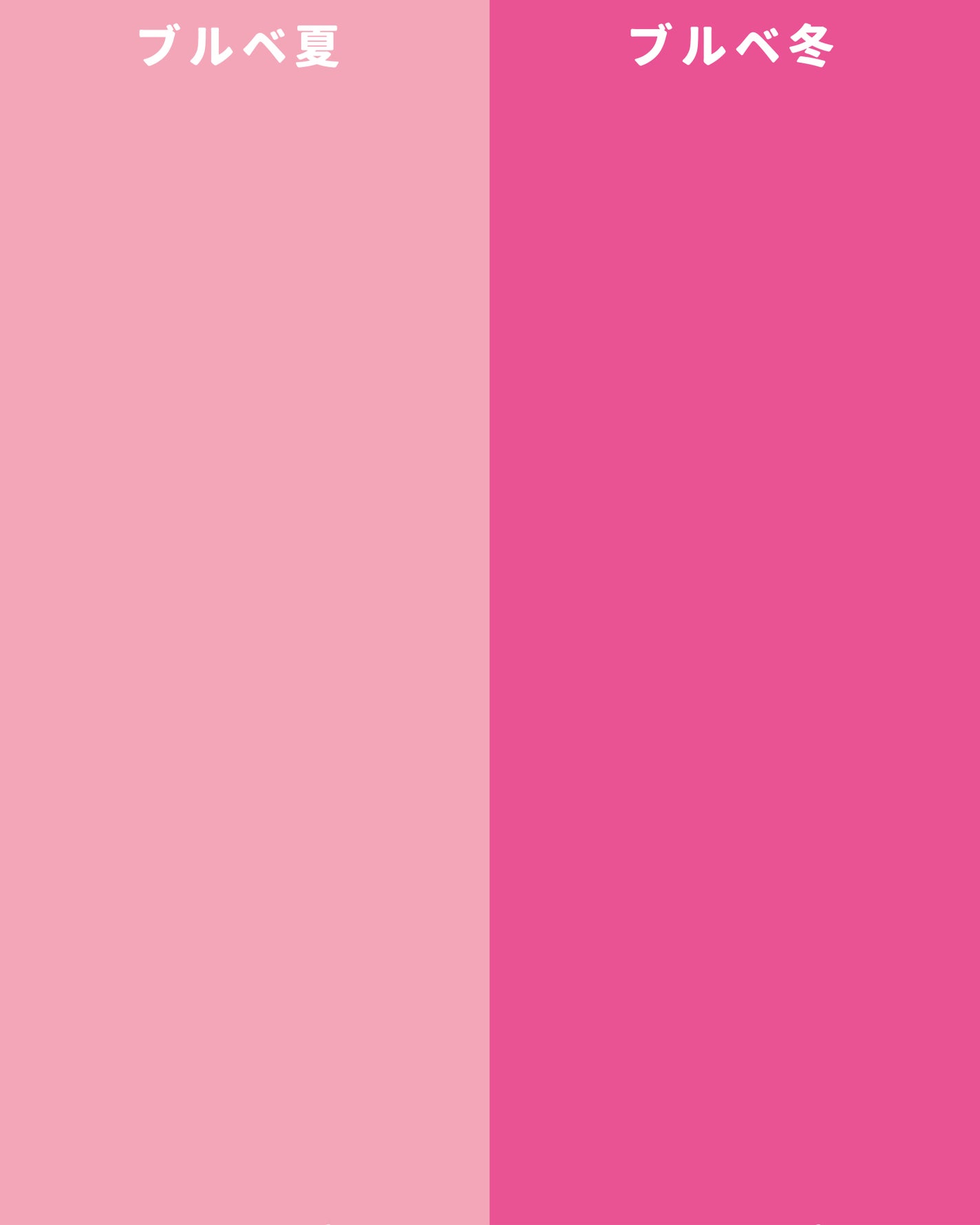 フィット my カラーパレット/STEIASUR(ステイアシュール)/マルチパレットを使ったクチコミ(7枚目)