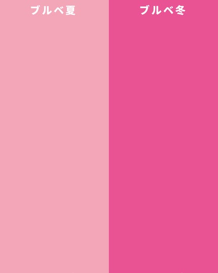 フィット my カラーパレット/STEIASUR(ステイアシュール)/マルチパレットを使ったクチコミ(7枚目)