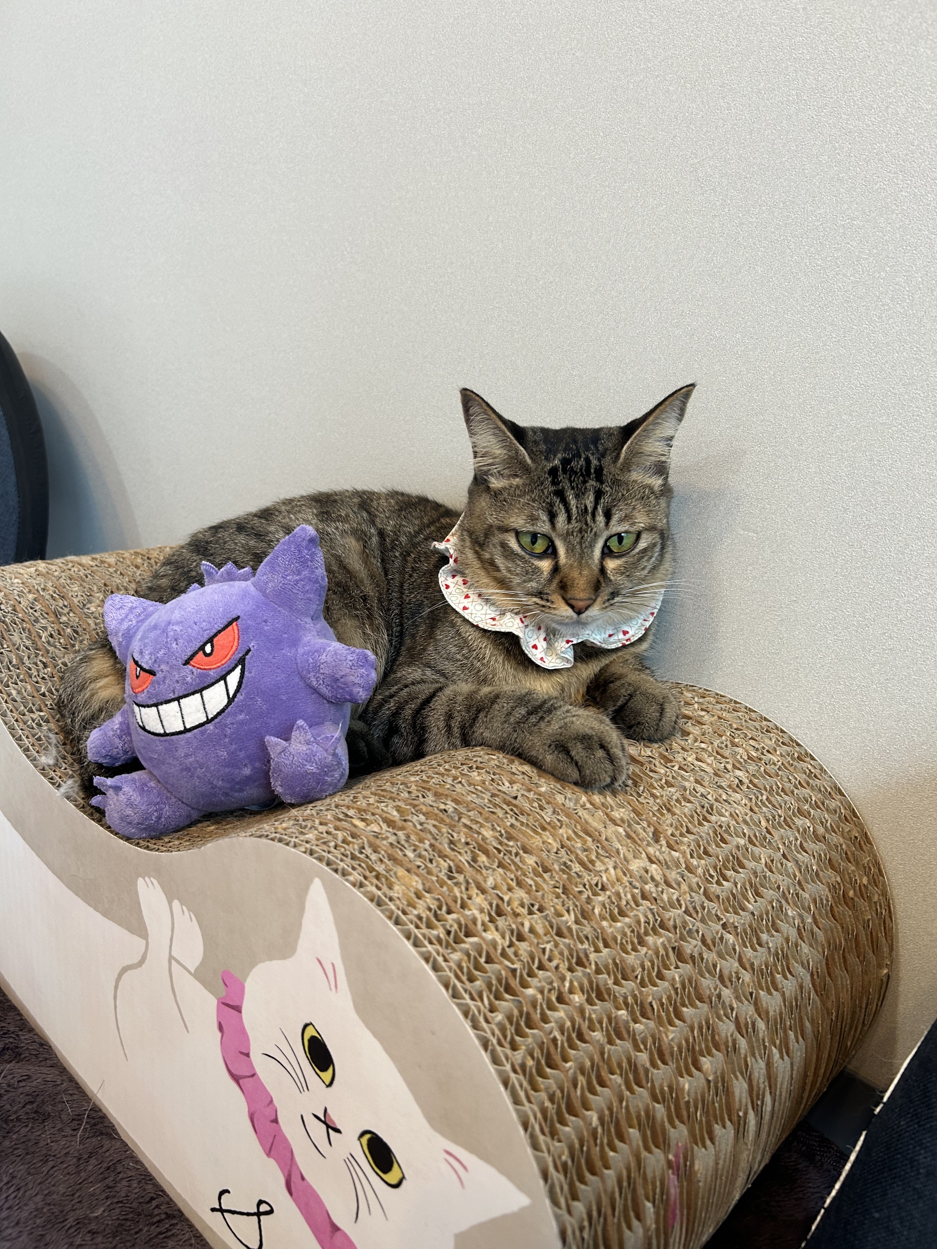 ラスティングマルチアイベース WP/キャンメイク/アイシャドウベースを使ったクチコミ（1枚目）