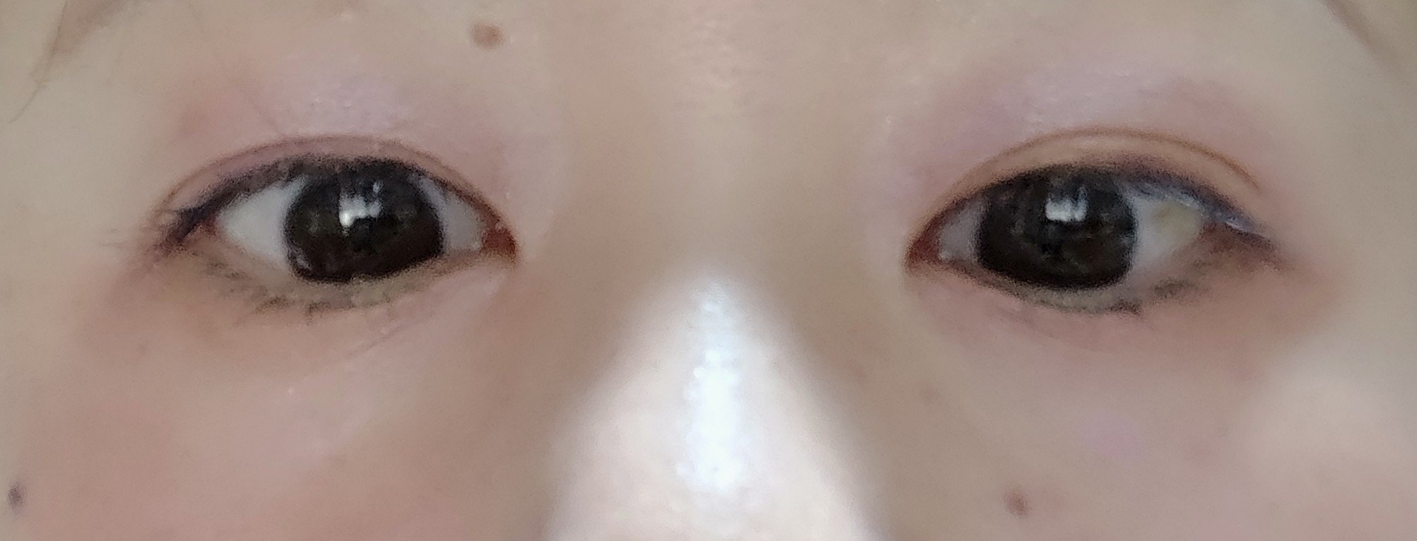 アイカラーレーション/LUNASOL/アイシャドウパレットを使ったクチコミ（3枚目）