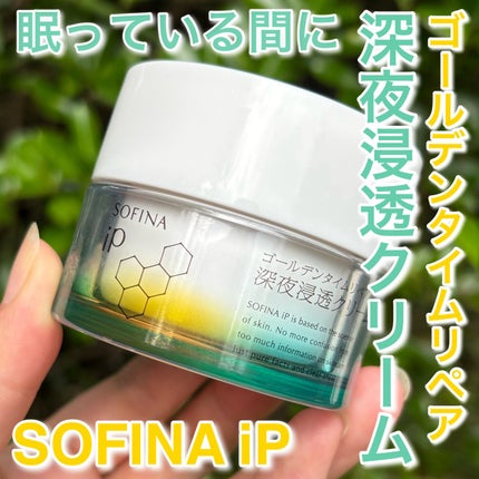ソフィーナ iP ゴールデンタイムリペア 深夜浸透クリーム/SOFINA iP/フェイスクリームを使ったクチコミ(1枚目)