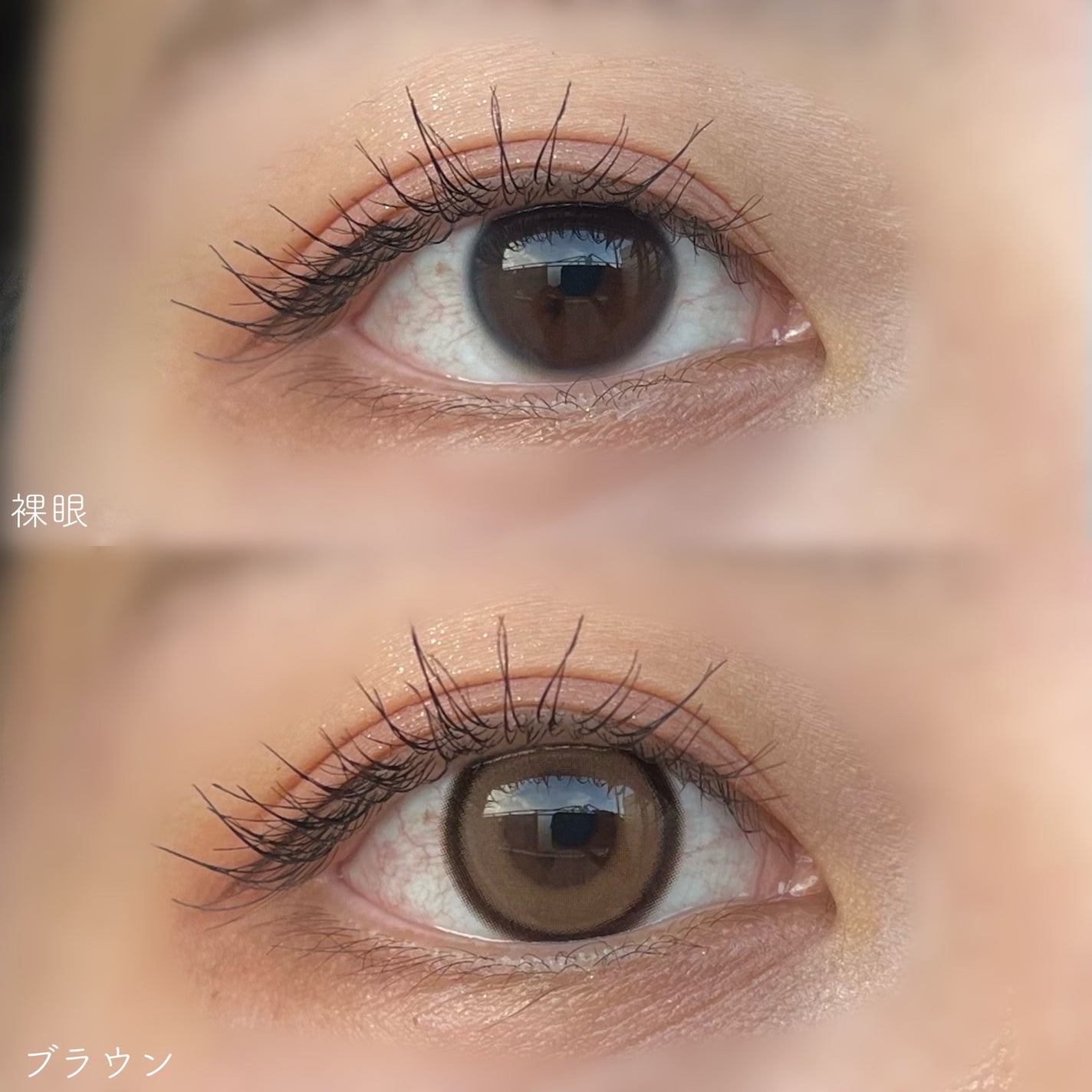 Realish 1day/OLENS/ワンデー(1DAY)カラコンを使ったクチコミ(3枚目)