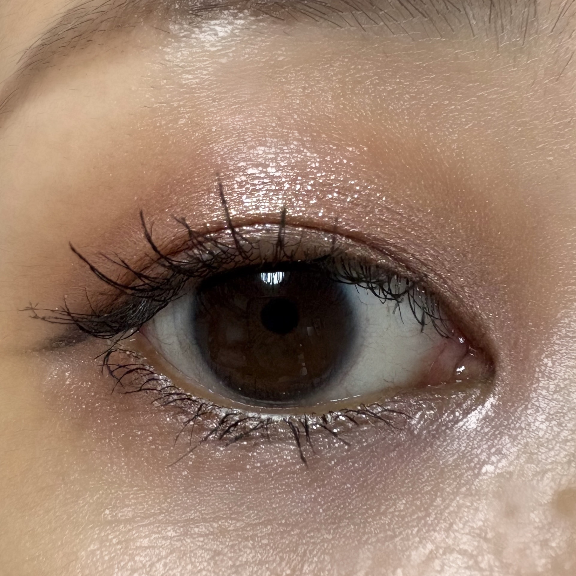 アイスカルプト/shu uemura/アイシャドウパレットを使ったクチコミ（2枚目）