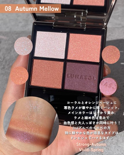 ルナソル アイカラーレーションN/LUNASOL/アイシャドウパレットを使ったクチコミ(4枚目)