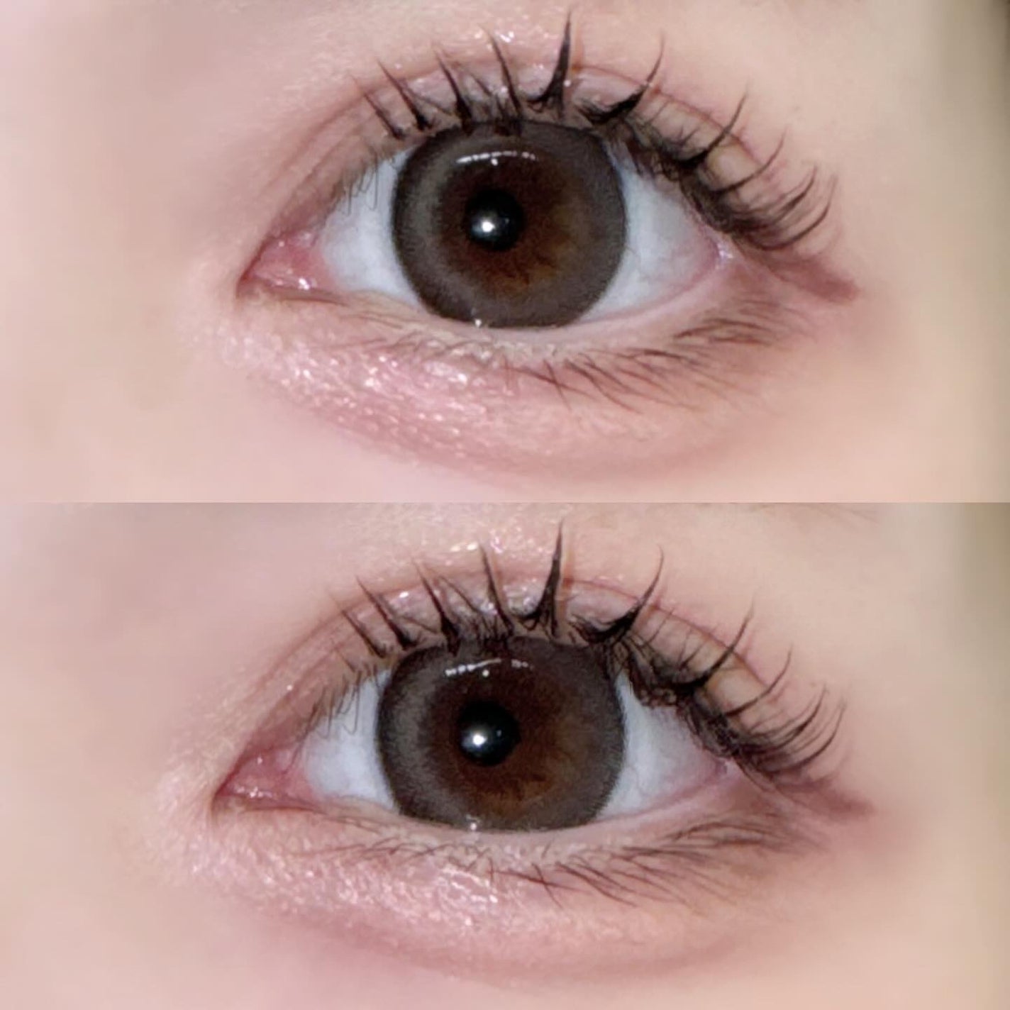 メイメ!/LARME/カラーコンタクトレンズを使ったクチコミ(3枚目)