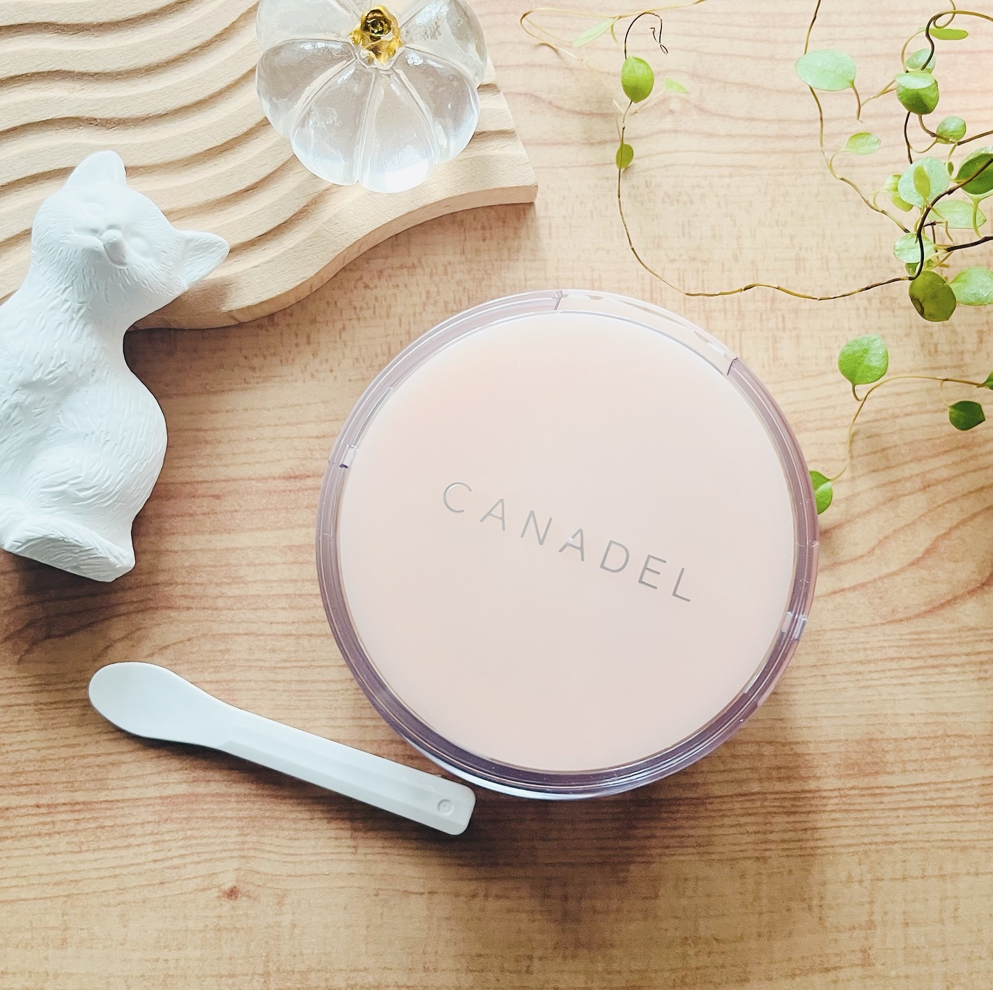 プレミアリフト/CANADEL/オールインワン化粧品を使ったクチコミ（2枚目）