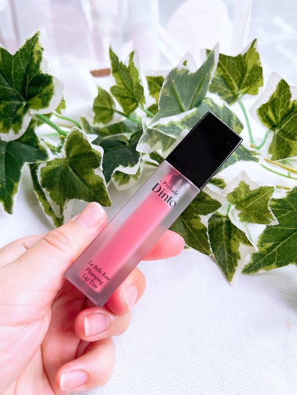 La Belle Rose Plumping Lip Tint/Dinto/口紅を使ったクチコミ(4枚目)