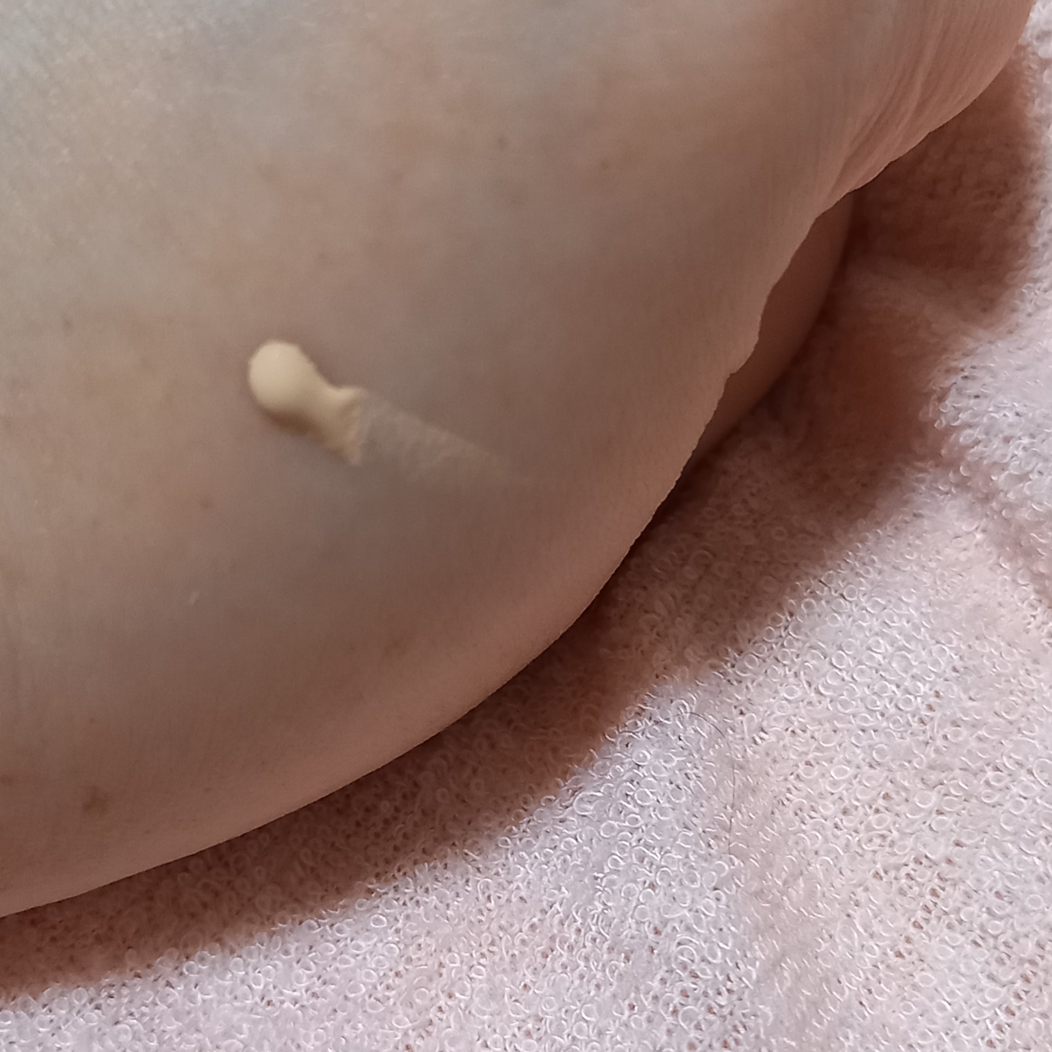 ラスティングベース クール/チャコット・コスメティクス/化粧下地を使ったクチコミ（2枚目）