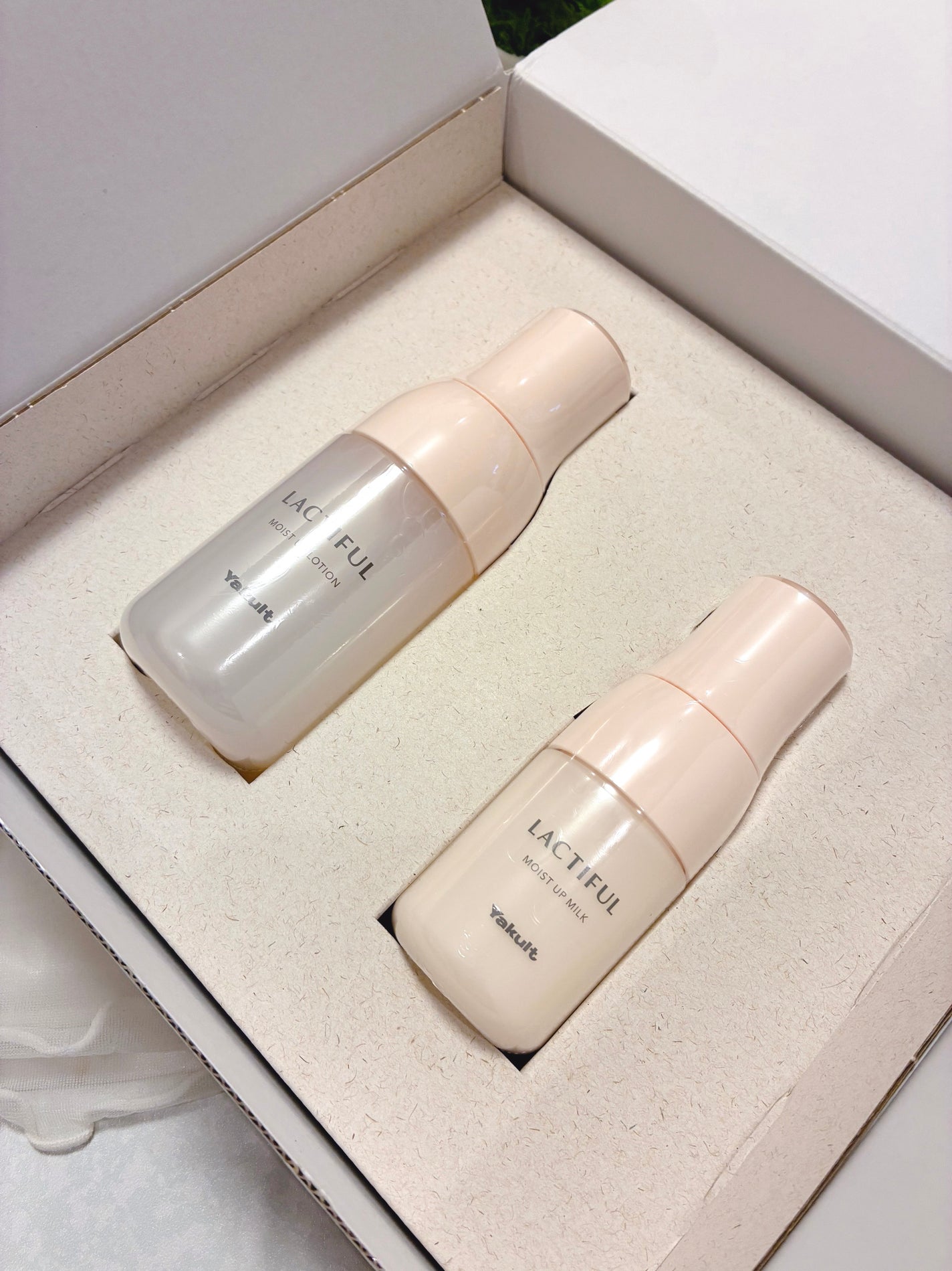 モイストアップ ローション/ラクティフル/化粧水を使ったクチコミ(3枚目)