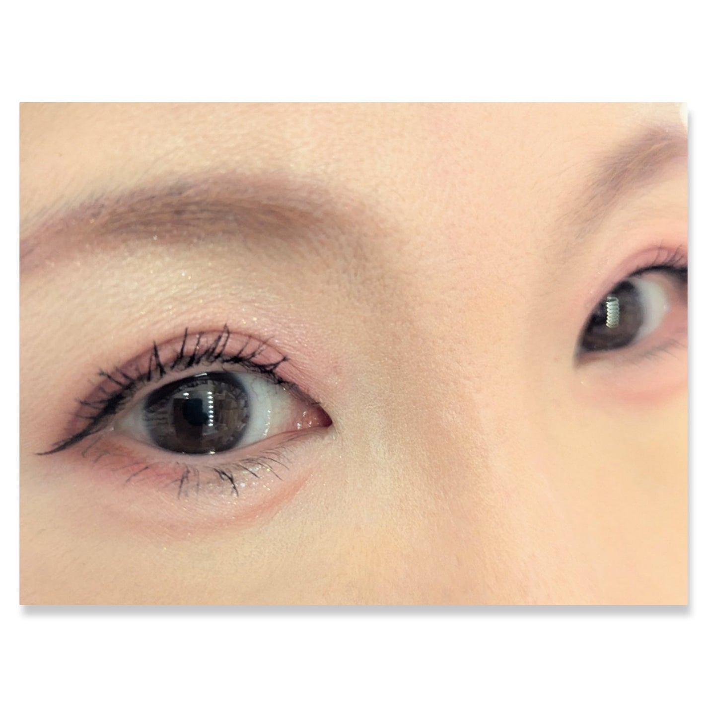 クォーツ 9色アイシャドウパレット(ドリームランドアイシャドウ)/ZEESEA/アイシャドウパレットを使ったクチコミ(2枚目)