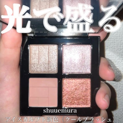 アイスカルプト/shu uemura/アイシャドウパレットを使ったクチコミ(1枚目)