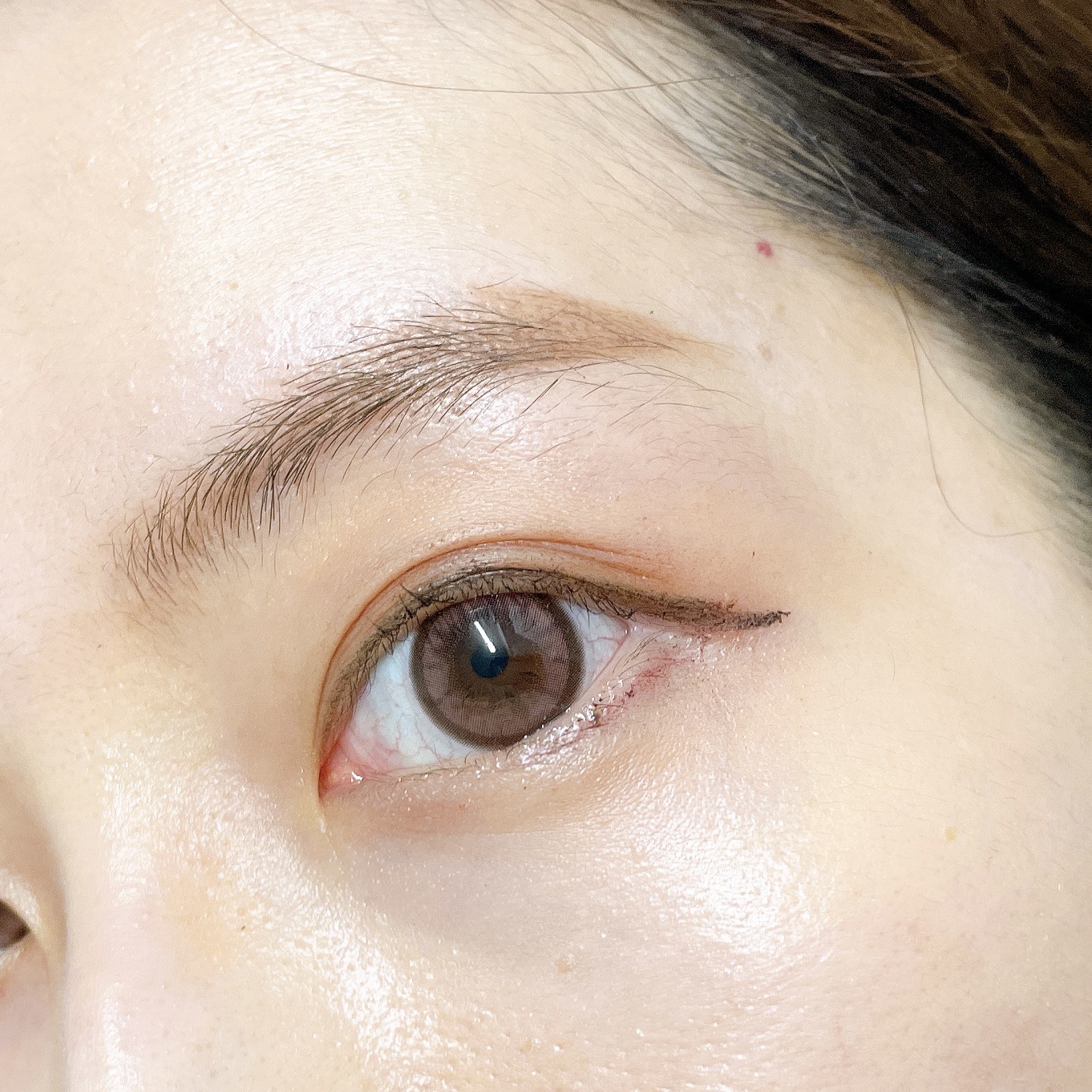 michou 1day リッチローズ/michou/ワンデー（１DAY）カラコンを使ったクチコミ（1枚目）