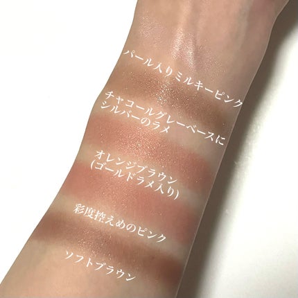 パノラマデザイン アイパレット/Visée/アイシャドウパレットを使ったクチコミ(3枚目)