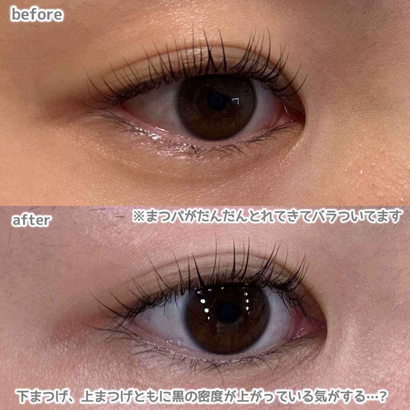 ラッシュリッチアイラッシュセラム/ロート製薬/まつげ美容液を使ったクチコミ（3枚目）