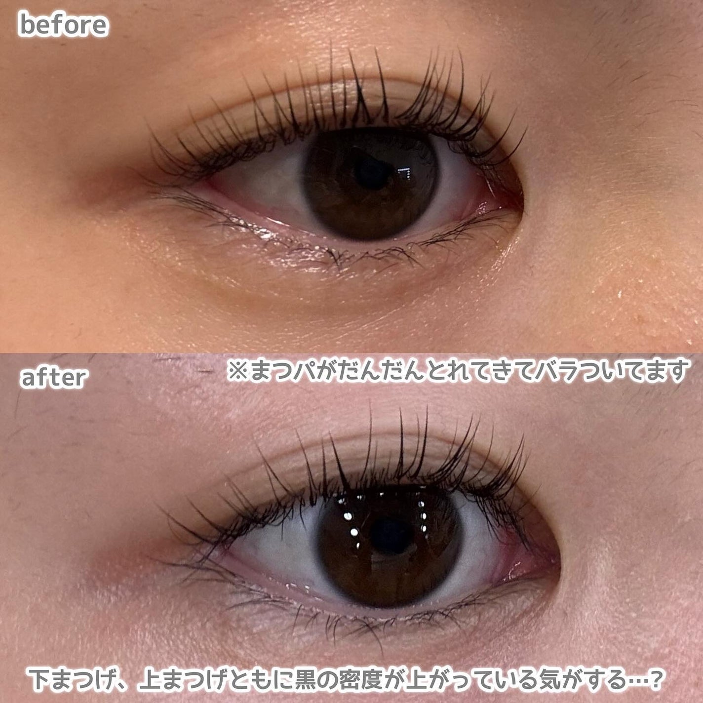 ラッシュリッチアイラッシュセラム/ロート製薬/まつげ美容液を使ったクチコミ(3枚目)