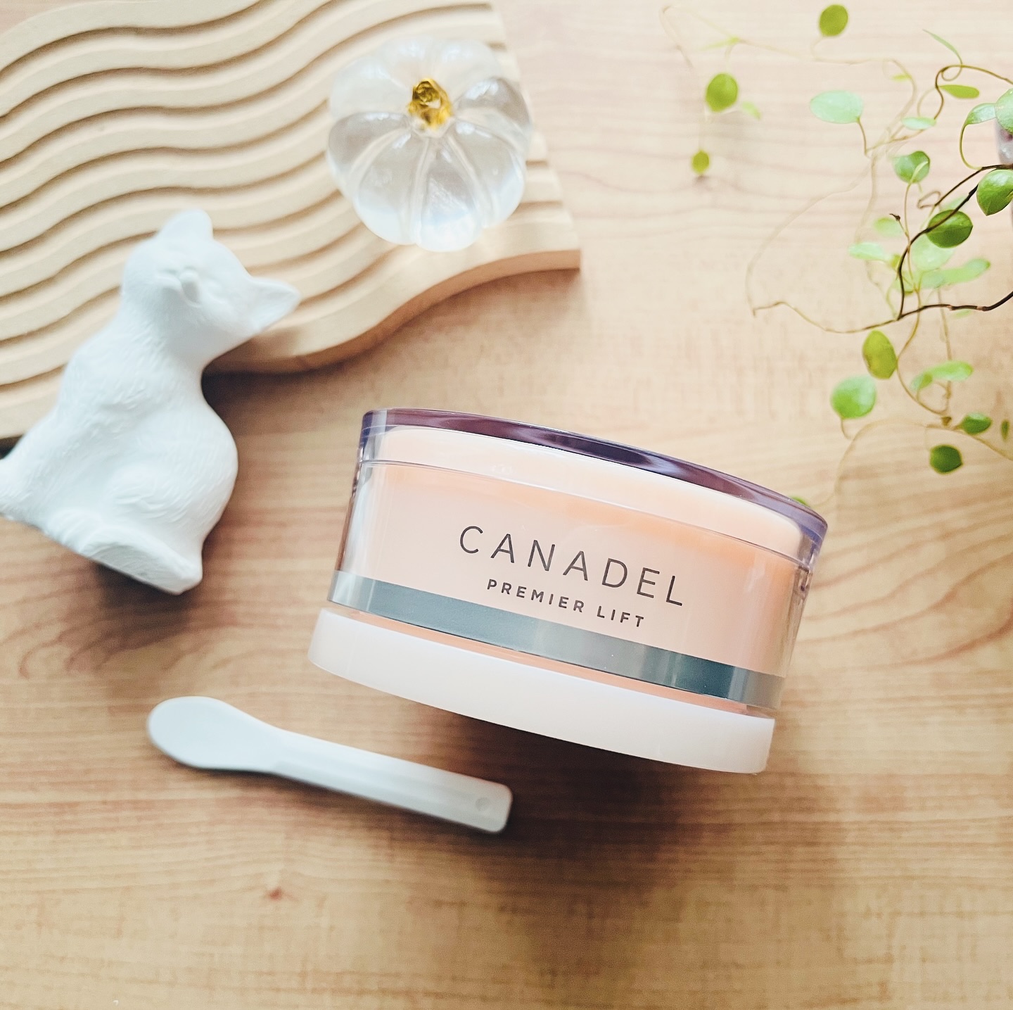 プレミアリフト/CANADEL/オールインワン化粧品を使ったクチコミ（1枚目）