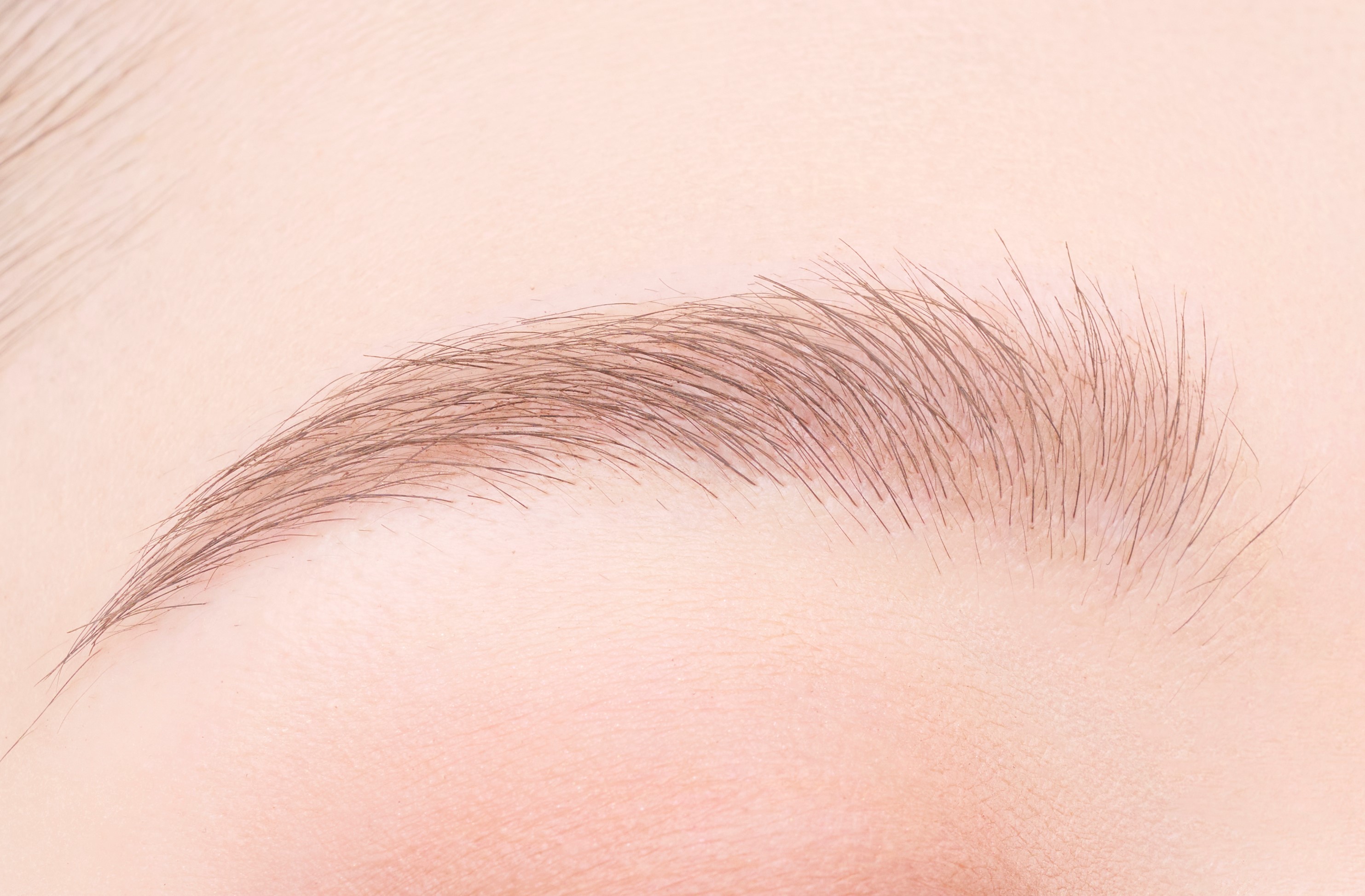 フィルム眉カラー ピンクブラウン