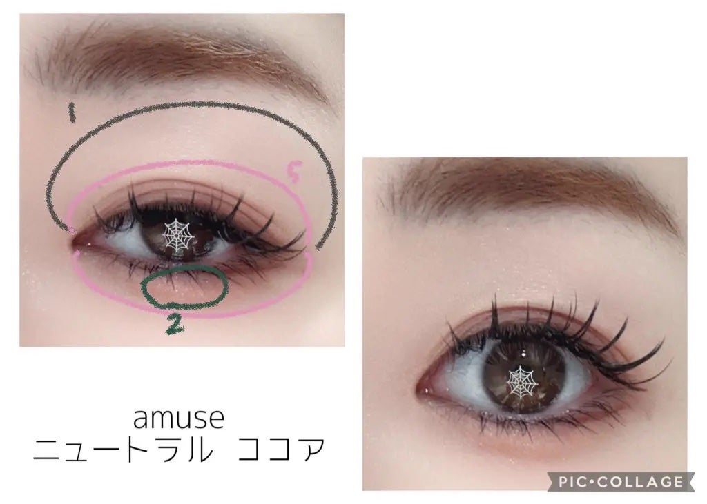 アイカラーパレット/AMUSE/アイシャドウパレットを使ったクチコミ(3枚目)