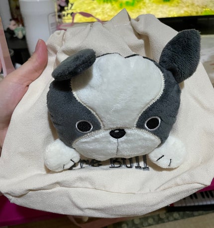 クロミマイメロ絆創膏/3COINS/その他を使ったクチコミ(4枚目)