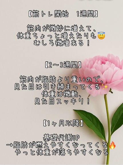 MILK PROTEIN脂肪0/ザバス/その他プロテインを使ったクチコミ(3枚目)