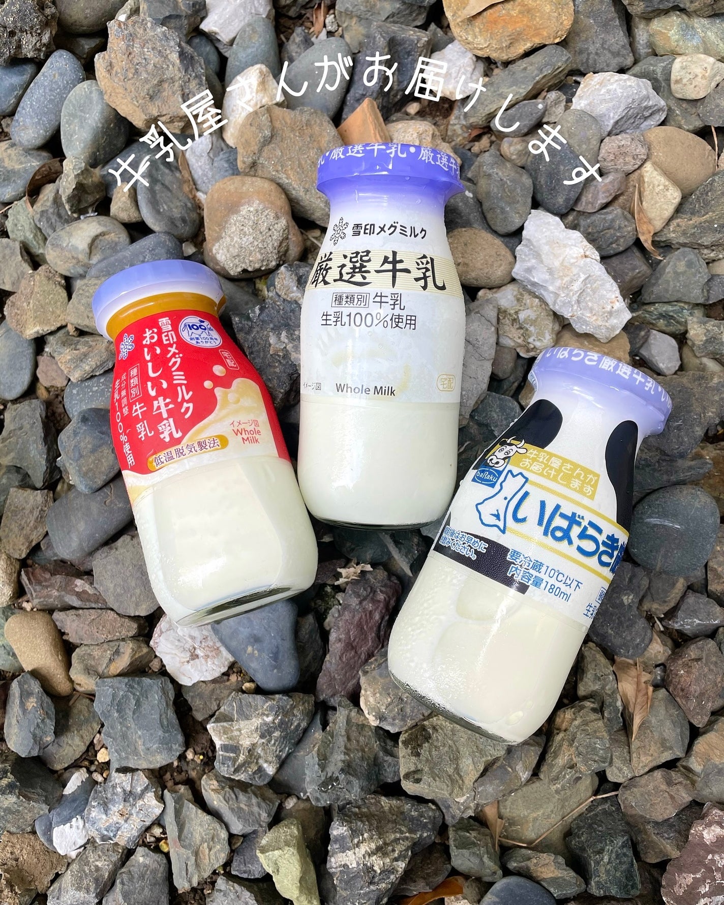 雪印メグミルク おいしい牛乳/雪印メグミルク/その他を使ったクチコミ(3枚目)