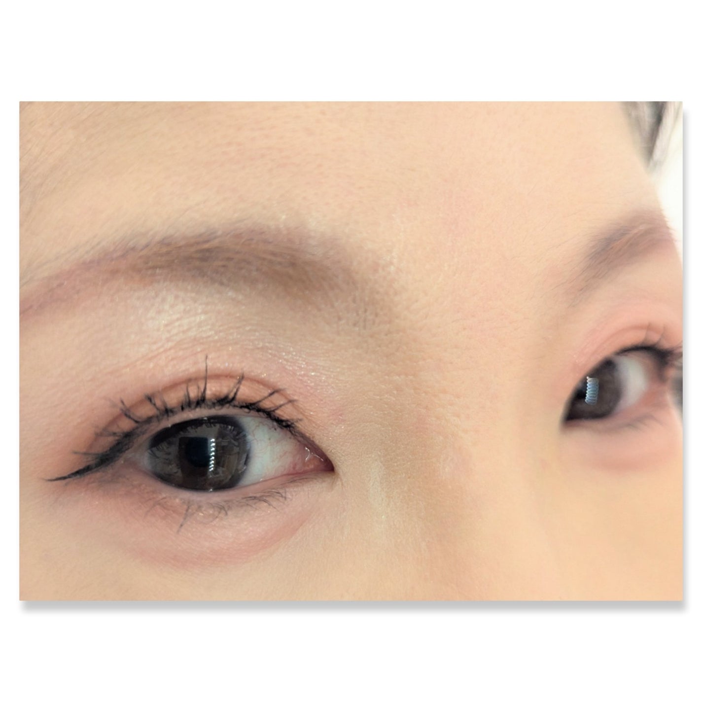 プティパレットアイズ/キャンメイク/パウダーアイシャドウを使ったクチコミ(2枚目)