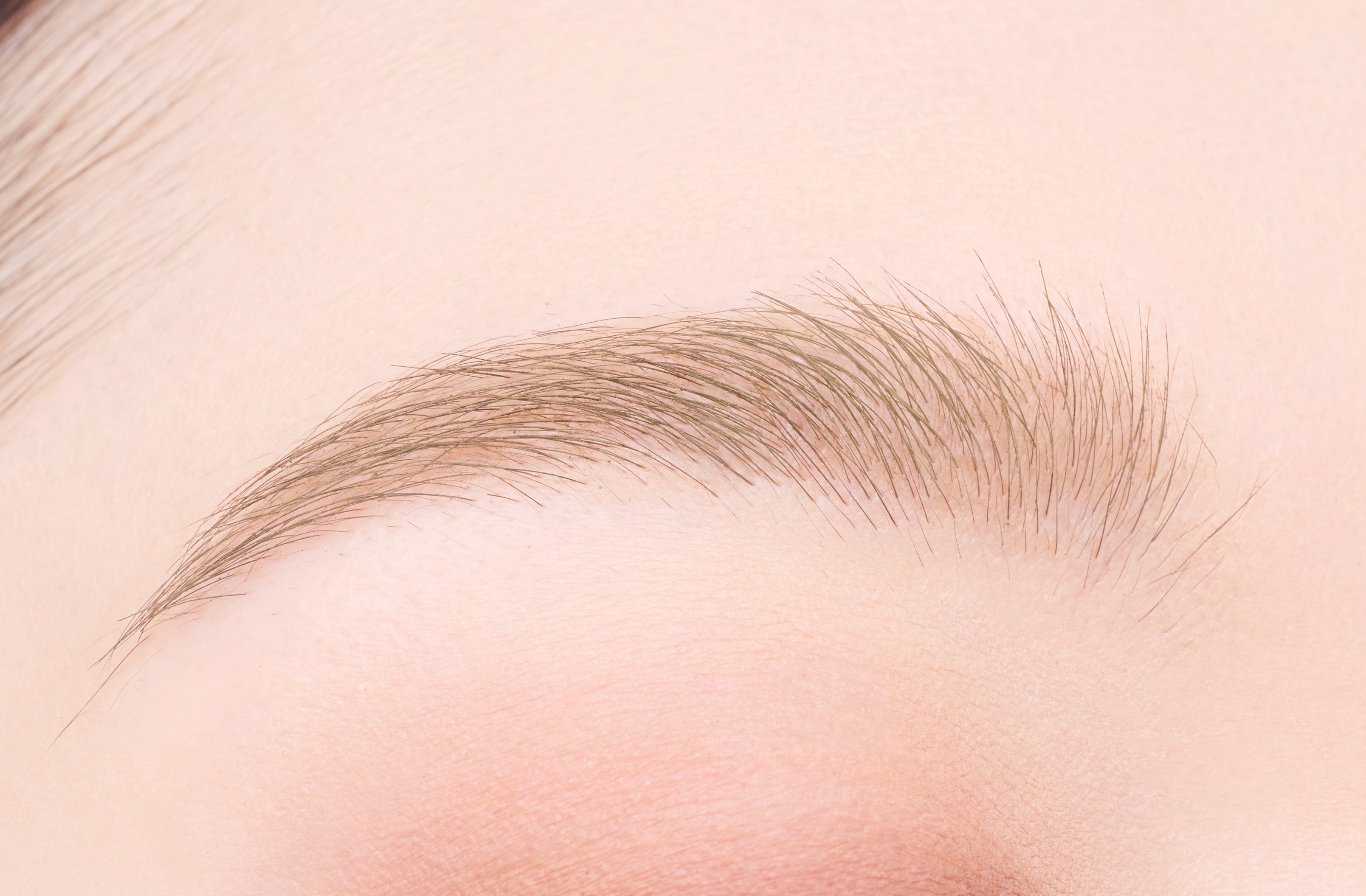 フィルム眉カラー アッシュブラウン