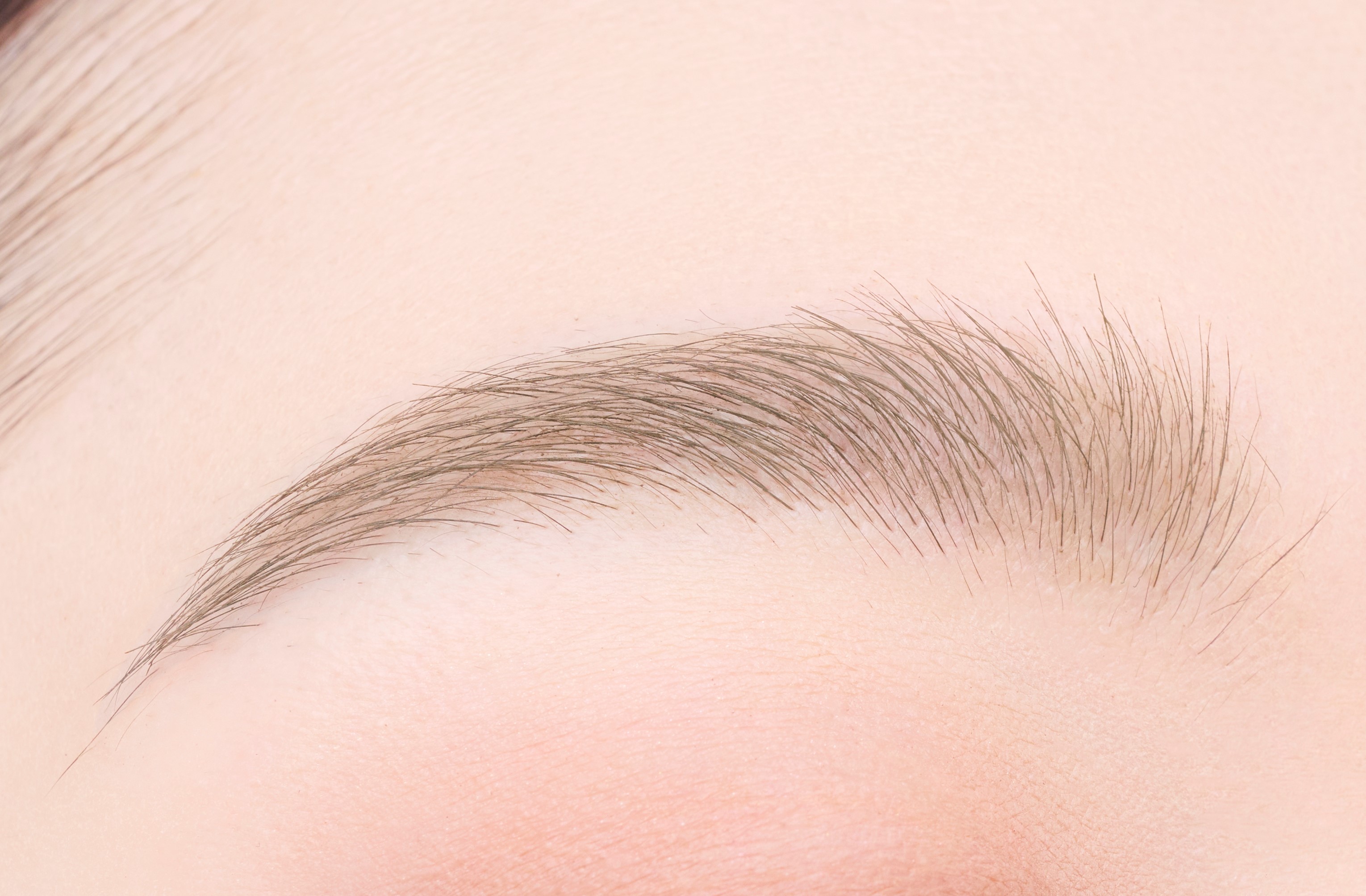 フィルム眉カラー ムーンアッシュ（数量限定）