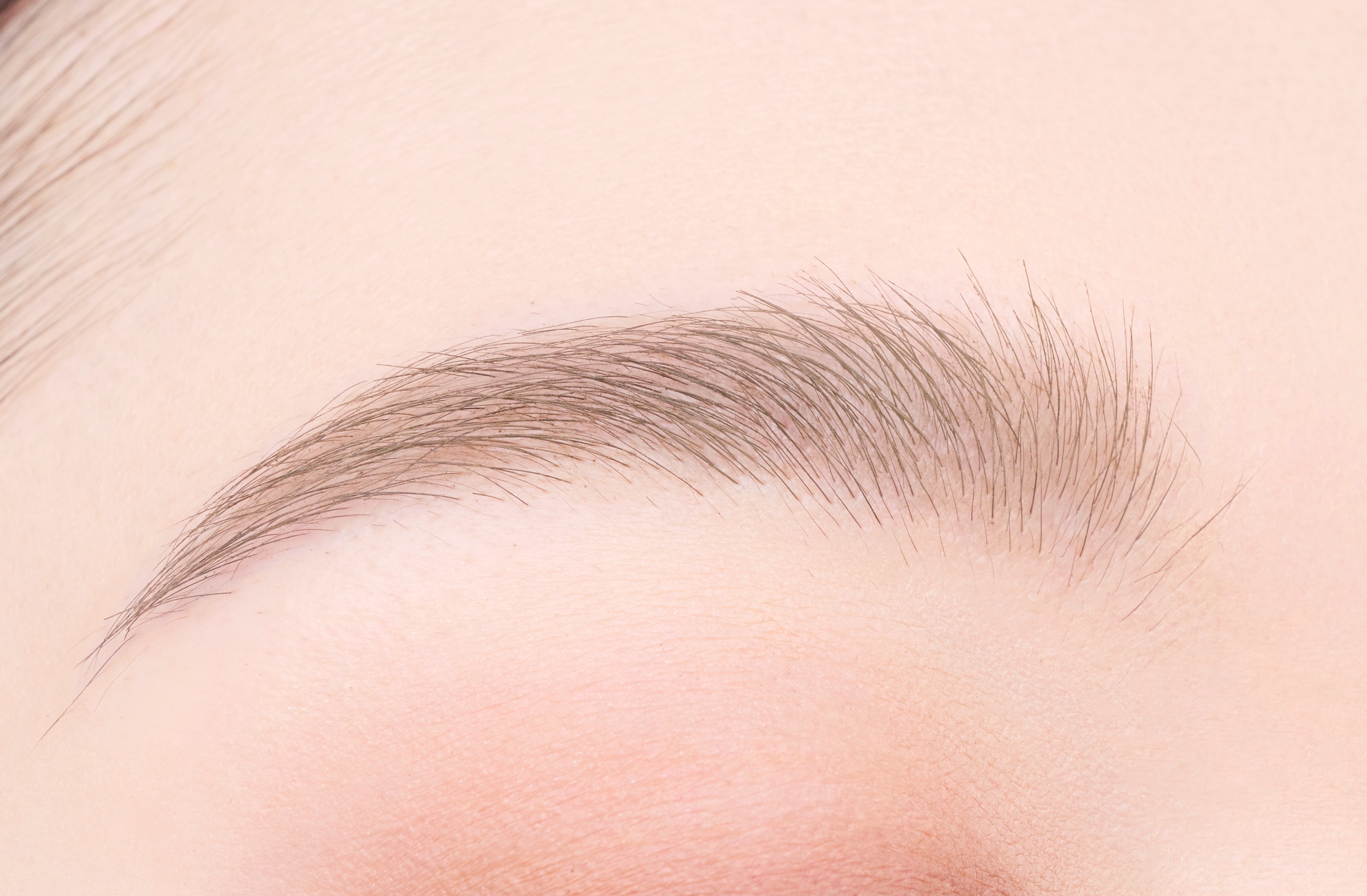 フィルム眉カラー モカグレージュ