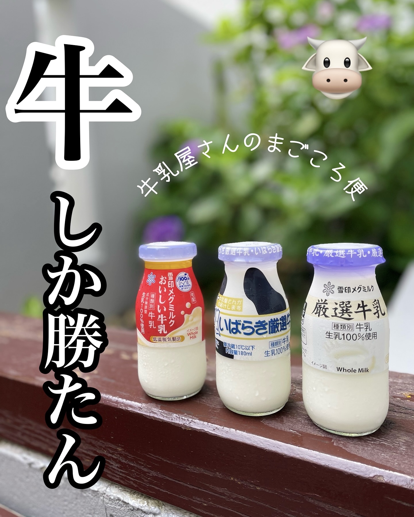 雪印メグミルク　おいしい牛乳/雪印メグミルク/その他を使ったクチコミ（1枚目）