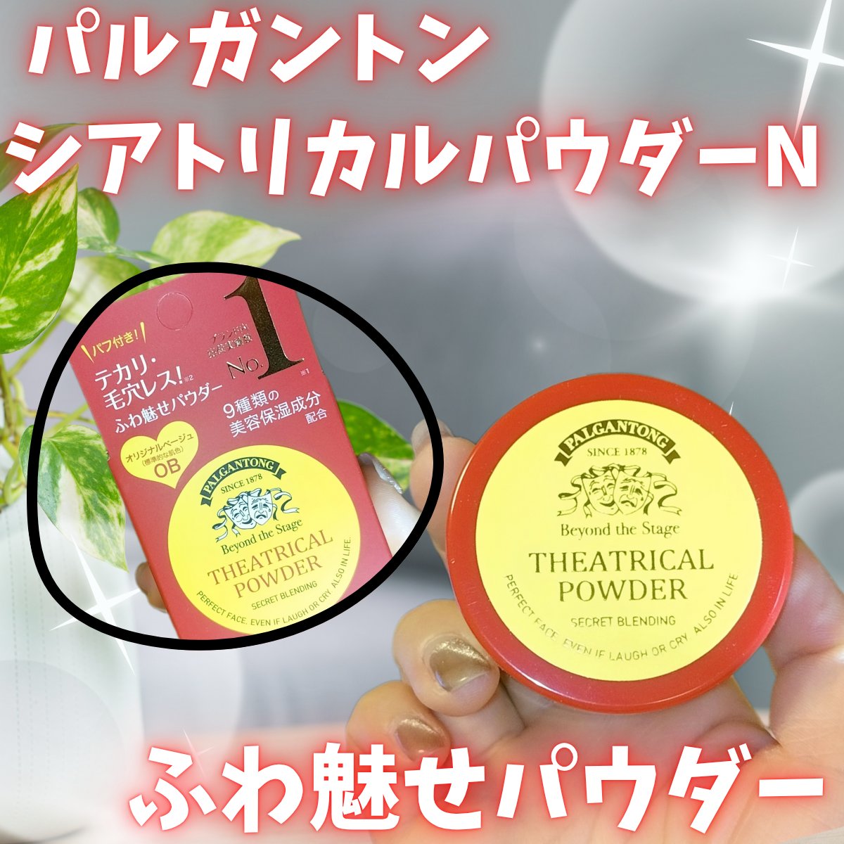 シアトリカルパウダーN/パルガントン/ルースパウダーを使ったクチコミ（1枚目）