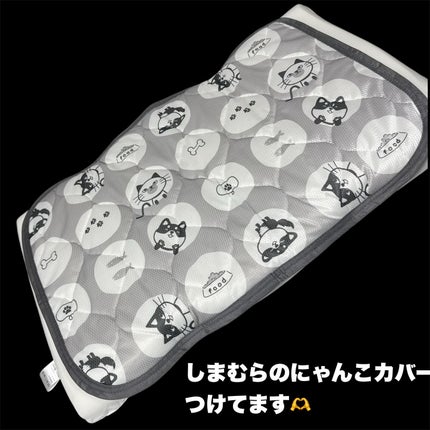 はんぺん枕/鎌倉ライフ/その他を使ったクチコミ(4枚目)