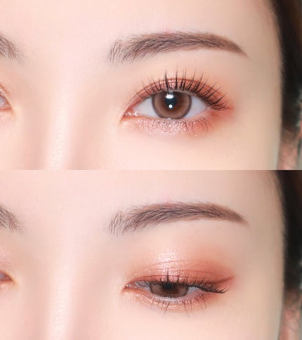 エクシア アイカラー ヴォロンテ/ALBION/アイシャドウパレットを使ったクチコミ(4枚目)