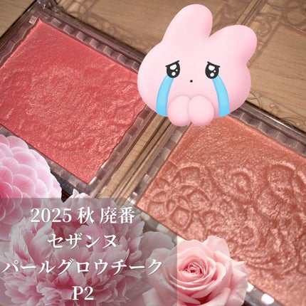 パールグロウチーク/CEZANNE/パウダーチークを使ったクチコミ(1枚目)